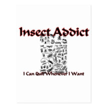 Insect Addict Postcard