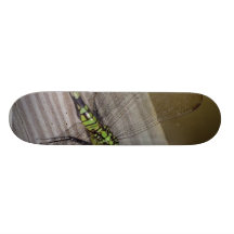 Insect Dragonfly Skateboard Deck