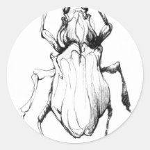 Insect Round Stickers