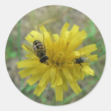 Insect Wasp Sticker