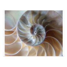 Inside Nautilus Postcards
