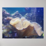 Inside the Ocean Posters