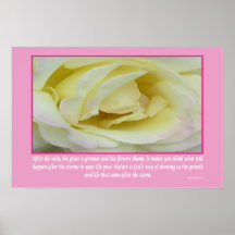 Inspirational White Rose - Poster