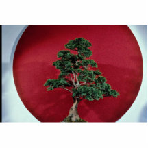 Inspiring Bonsai tree Cut Out