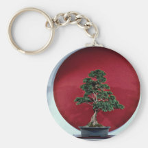 Inspiring Bonsai tree Keychains
