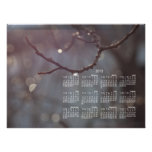 Inspiring Sunshine; 2013 Calendar Photo