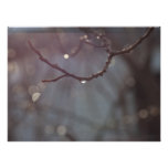 Inspiring Sunshine Art Photo
