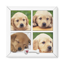 instagram photo dog magnets magnets