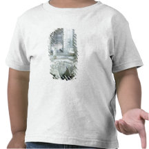 Interior of octagonal baptistery of  cathedral shirts