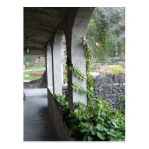 Intertwined Post Card
