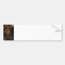 Intruder Bumper Sticker