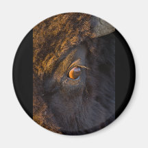 Intruder Refrigerator Magnet