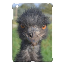 Ipad Mini QPC template iPad Mini Cove - Customised
