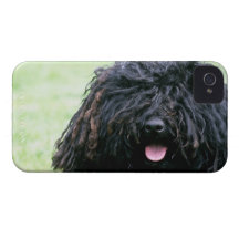 iphone 4 barely there QPC template Ca - Customised iPhone 4 Covers