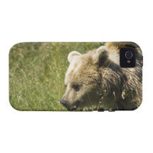 Iphone 4 Vibe QPC template iPhone 4/4 - Customised Case-Mate iPhone 4 Cases