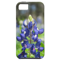 iPhone 5 Case Bluebonnets