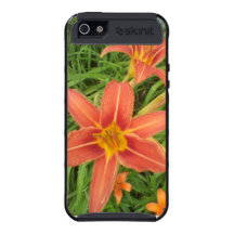 IPhone 5 iPhone 5 Cover