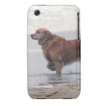 IPhone Case with Golden Retriever iPhone 3 Case-Mate Cases