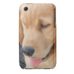 IPhone Case with Golden Retriever Puppy Case-Mate iPhone 3 Cases