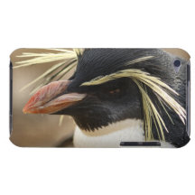 iPod Touch Case - Customised