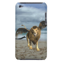 iPod Touch Case - Customised