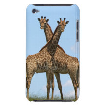 iPod Touch Case - Customised