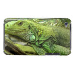 iPod Touch Case - Customised