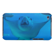 iPod Touch Case - Customised