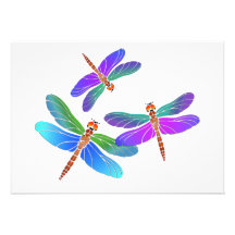 Iridescent Dive Bombing Dragonflies Custom Invite