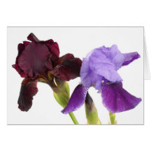 Iris Cards