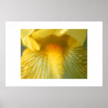 Iris Closeup #4 Print
