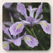 Iris Cork Coaster