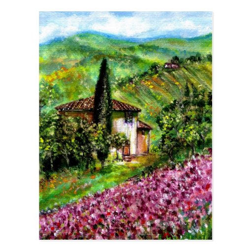 IRIS IN TUSCANY POST CARD