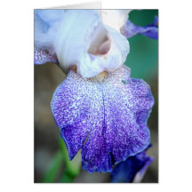 IRIS note card