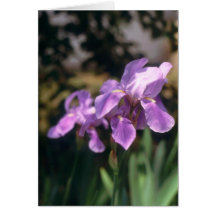 Iris Notecard