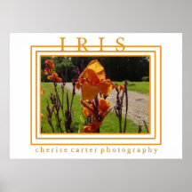 Iris Print