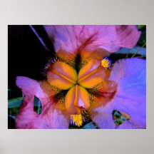 Iris, The Party- Goer Posters