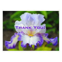 Iris Wedding Gift Tag/Business Card