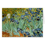 Irises Greeting Cards