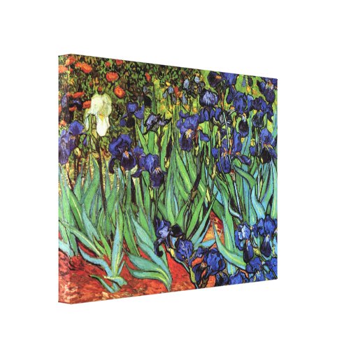 Irises, Saint-Remy, Vincent Van Gogh Gallery Wrapped Canvas