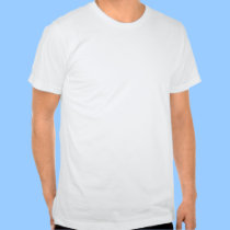 Irish Music & Beer BFF T-Shirt t-shirts