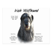 Irish Wolfhound (grey) History Design Post Card