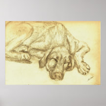 Irish Wolfhound "Sleeping Puppy" Poster