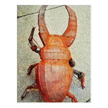 Iron bug postcard