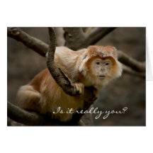 Is it really you? card