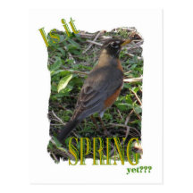 Is It Spring Yet??? Post Cards