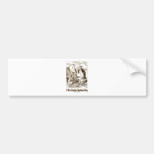 It Was Another Emotional Day (Alice Mock Turtle) Bumper Stickers