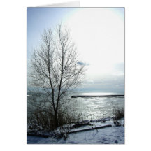 Italian-Buon Natale e felice anno nuovo Greeting Cards