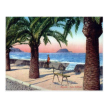 Italy, Alassio  Esplanade Postcard