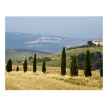 Italy. Tuscany. Pienza. Postcard